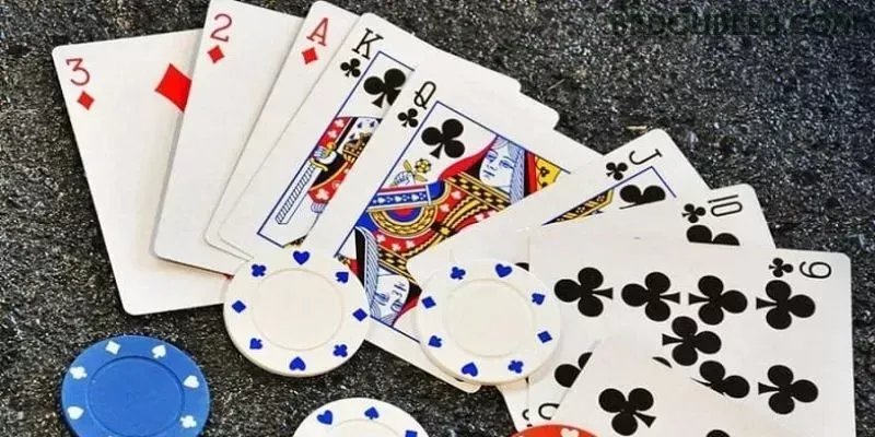 Formulário registro brdouble